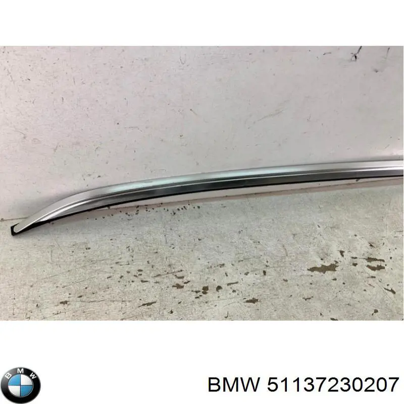 51137230207 BMW Riel de techo izquierdo