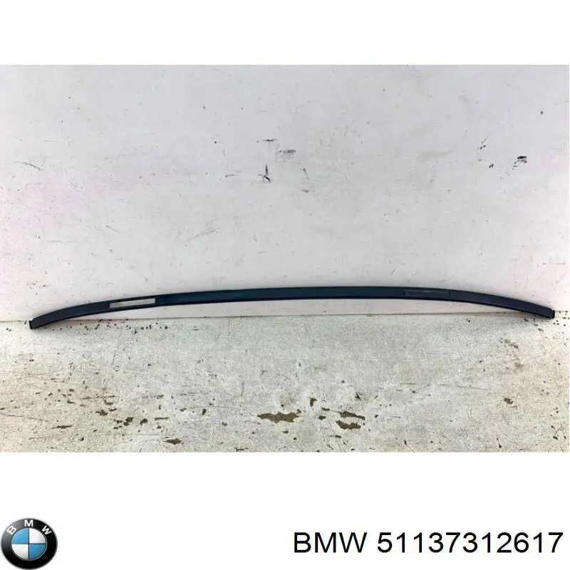 51137312617 BMW