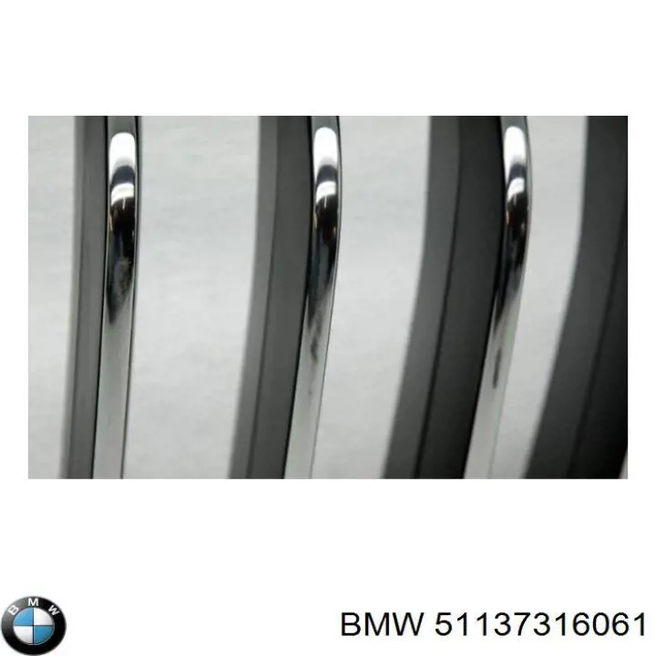 Parrilla izquierda del radiador BMW 51137316061 precio, desde 63,01 EUR