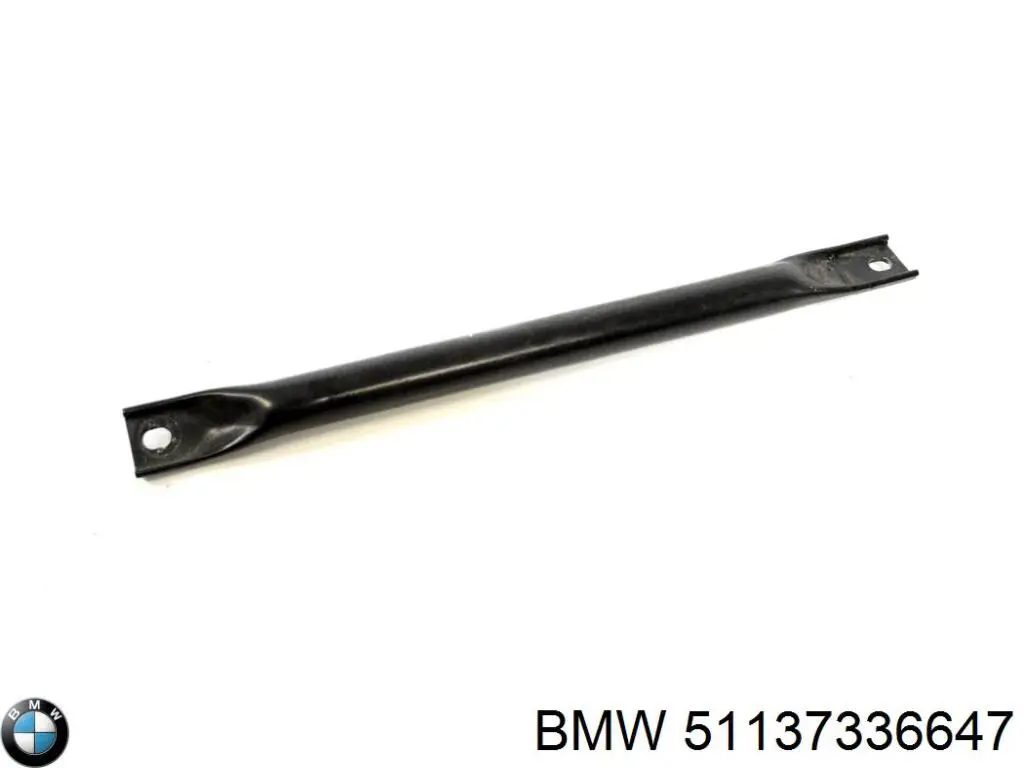 51137336647 BMW listón embellecedor/protector, guardabarros delantero derecho