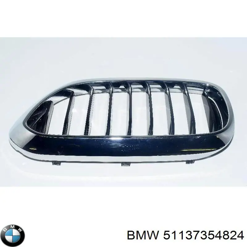 51137354824 BMW panal de radiador derecha