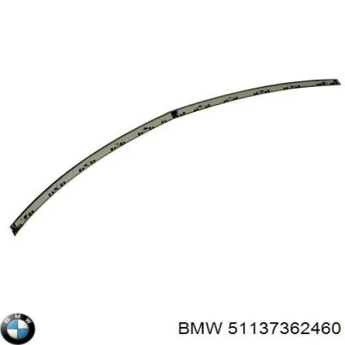 51137274740 BMW