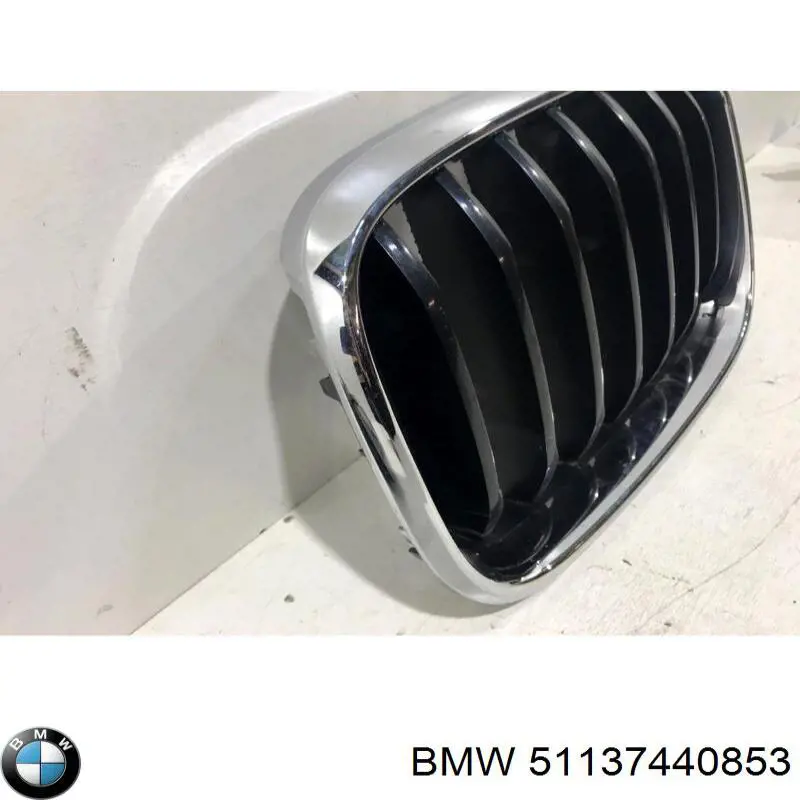 Rejilla delantera BMW 51137440853 precio, desde 91,10 EUR