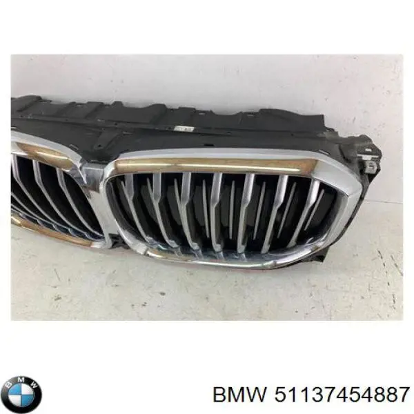 Parrilla BMW X5 BMW X5 (G05, F95) 