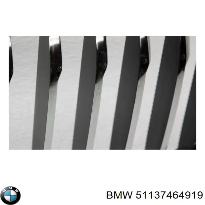 Rejilla izquierda 51137464919 BMW
