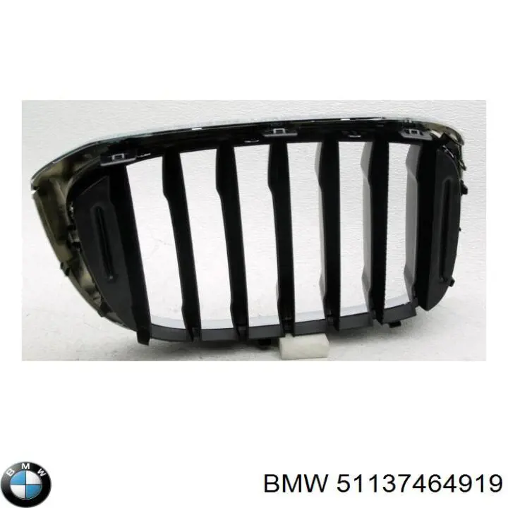 Comprar 51137464919 BMW Rejilla izquierda