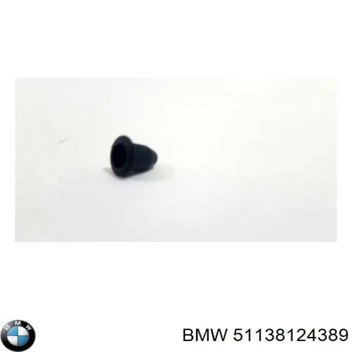 51138124389 BMW