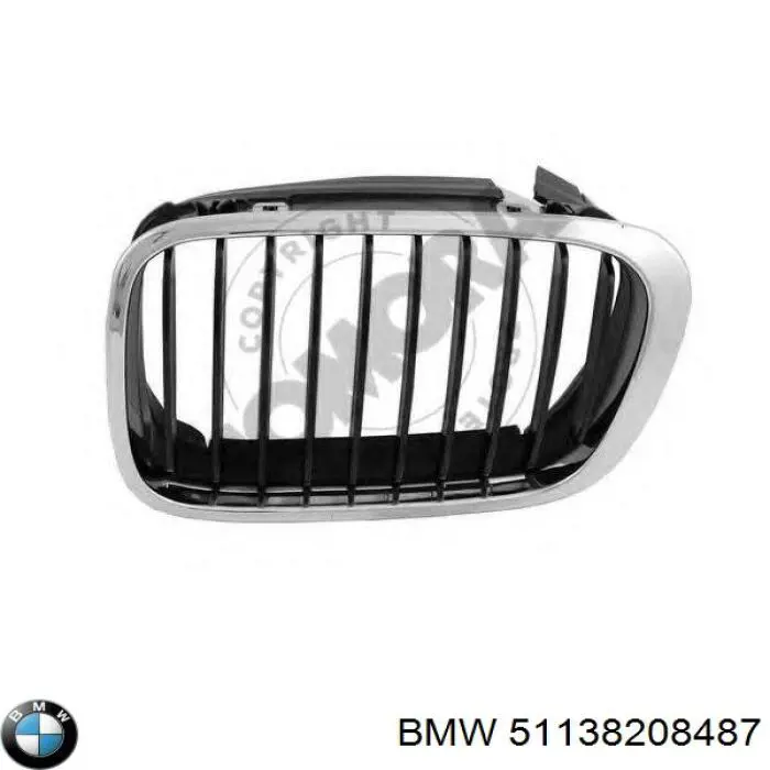 Rejilla izquierda 51138208487 BMW