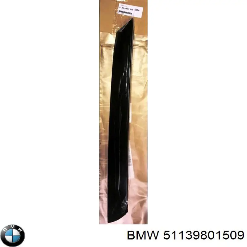 51139801509 BMW