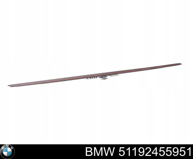 51192411019 BMW listón de acceso exterior izquierdo