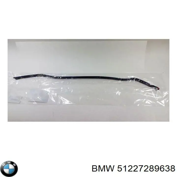 Sellador de puerta trasera BMW 51227289638 precio, desde 187,27 EUR