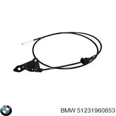 Cable de apertura de capó del motor BMW 51231960853 precio, desde 15,53 EUR