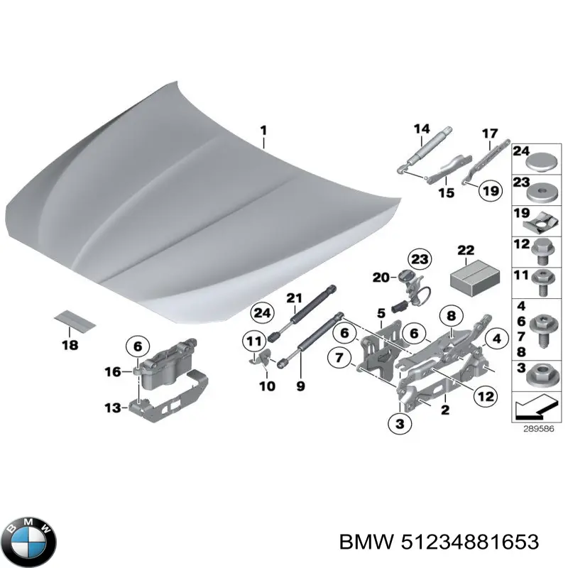 51234881653 BMW muelle neumático, capó de motor