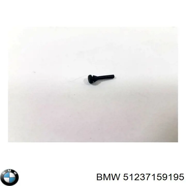 51237159195 BMW