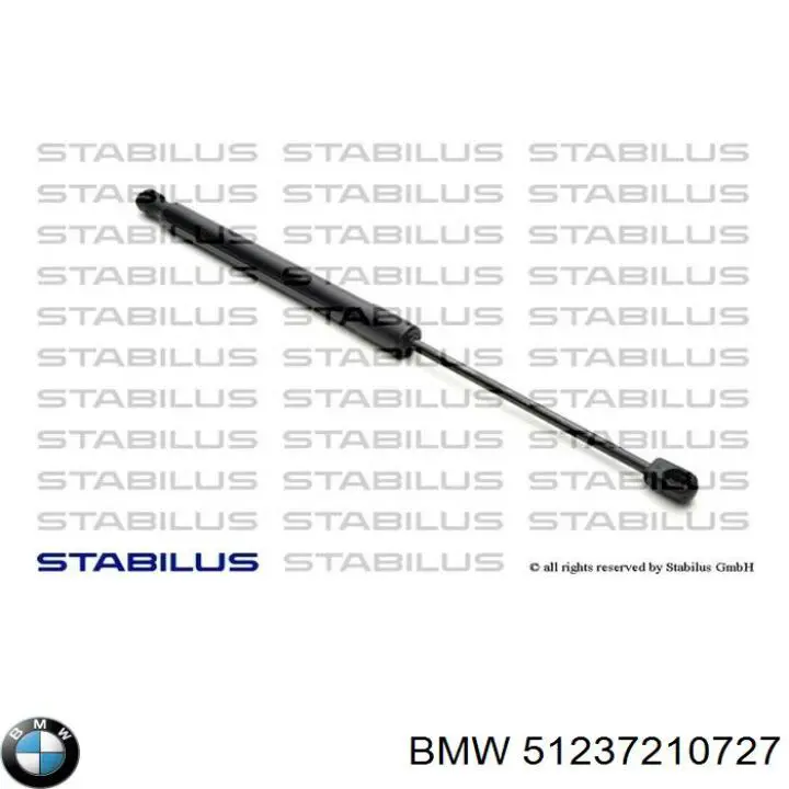 Muelle neumático, capó de motor BMW X3 F25