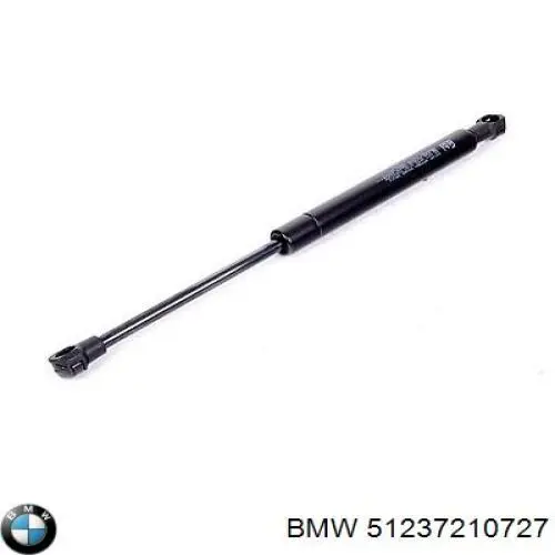 Muelle neumático, capó de motor BMW X3 F25