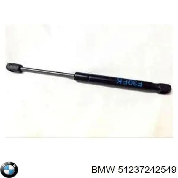 Cerradura del capó derecha BMW 51237242549 precio, desde 57,66 EUR