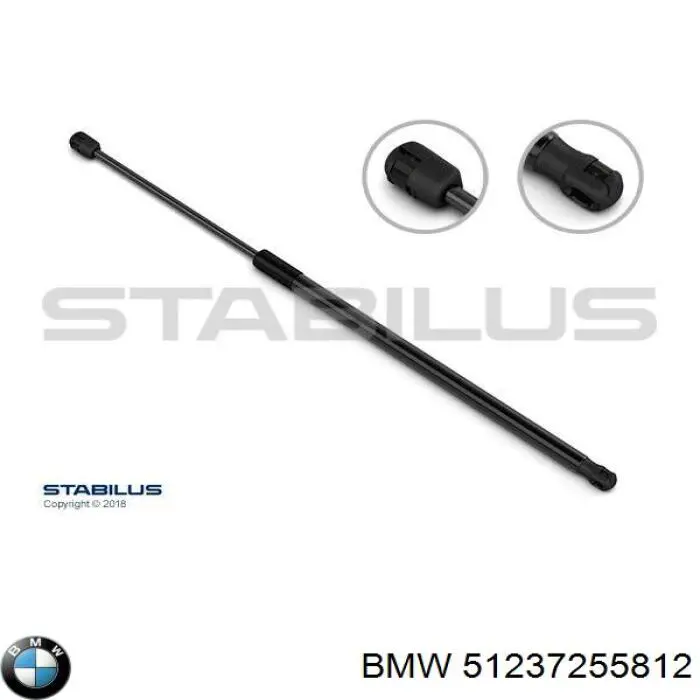 51237255812 BMW muelle neumático, capó de motor