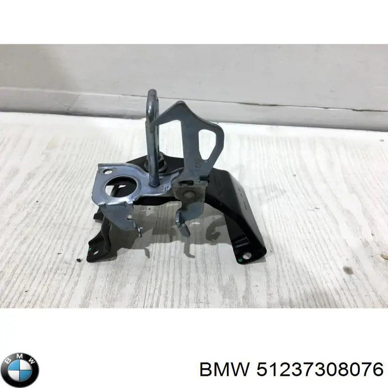 51237308076 BMW cerradura de capo izquierda