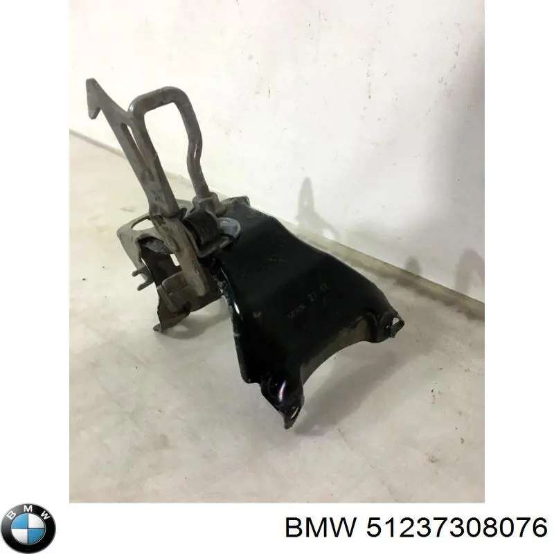 Comprar 51237308076 BMW Cerradura del capó izquierda