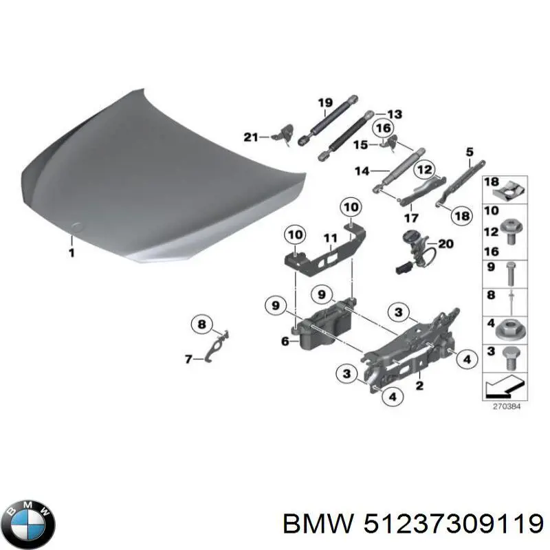 Amortiguador de capó 51237309119 BMW