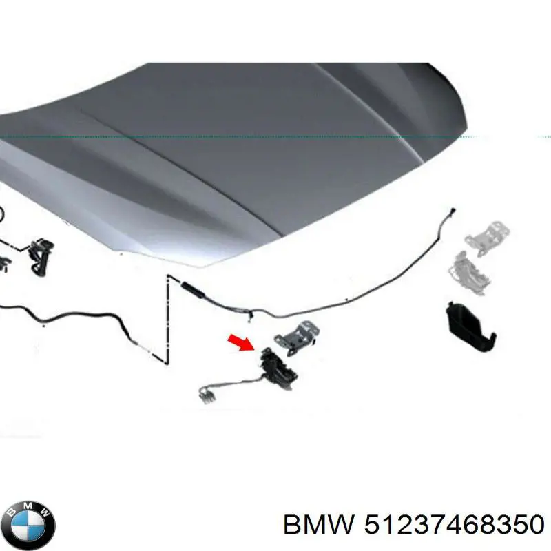 Cerradura del capó derecha BMW 51237468350 precio, desde 92,09 EUR
