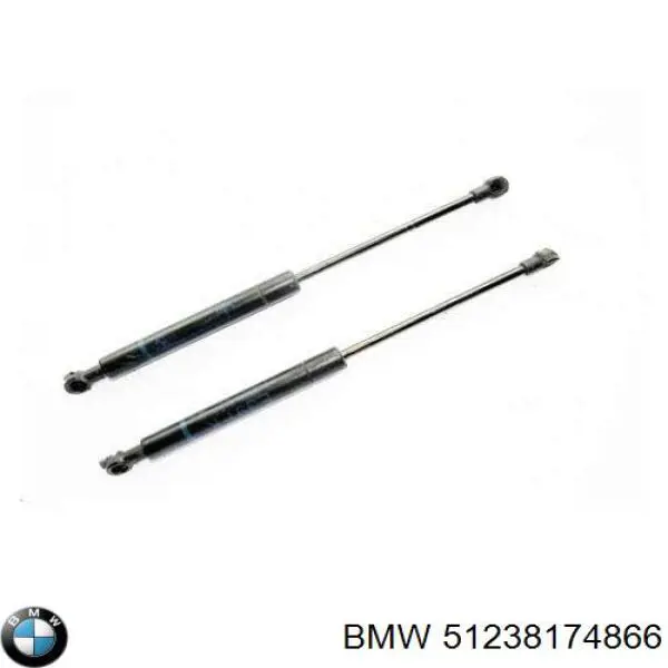 51238174866 BMW muelle neumático, capó de motor