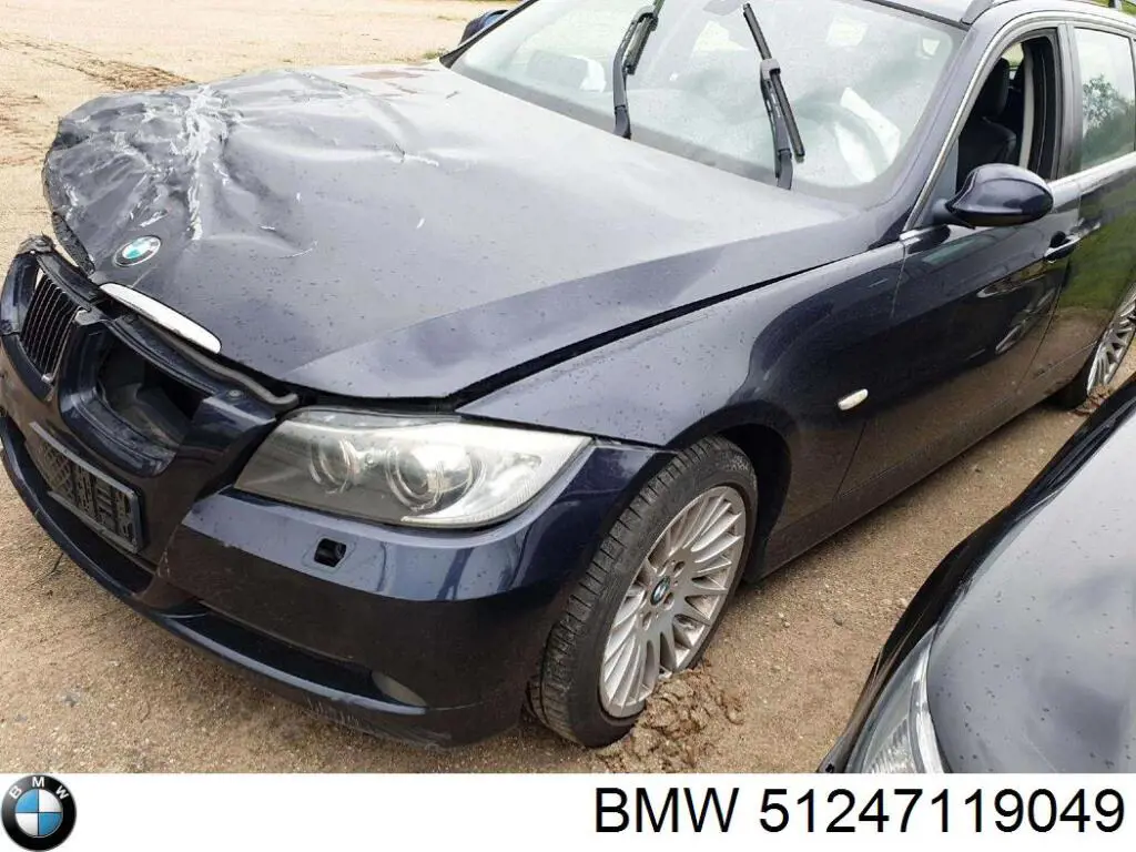 51247119049 BMW Cierre del maletero