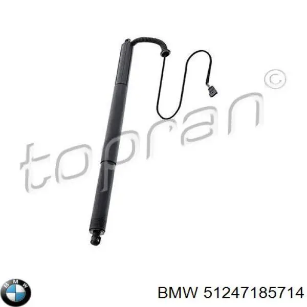 Amortiguador de maletero BMW 51247185714 precio, desde 89,66 EUR