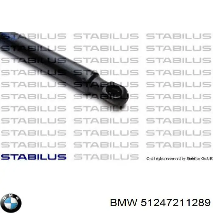 Amortiguador maletero 51247211289 BMW