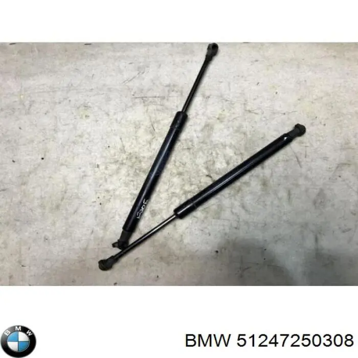 Amortiguador de maletero BMW 51247250308 precio, desde 15,15 EUR