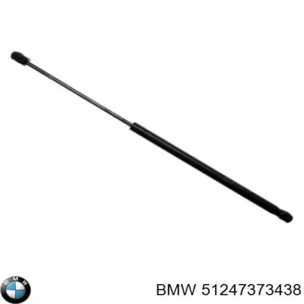 51247373438 BMW