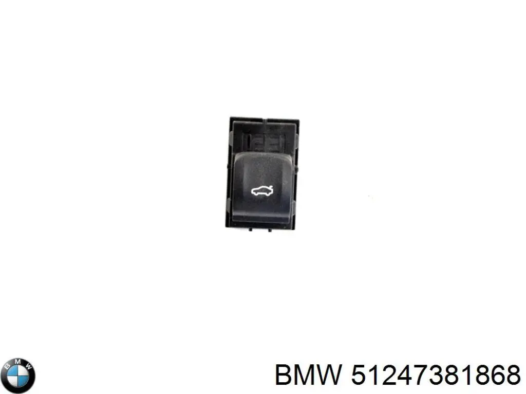 51247381868 BMW