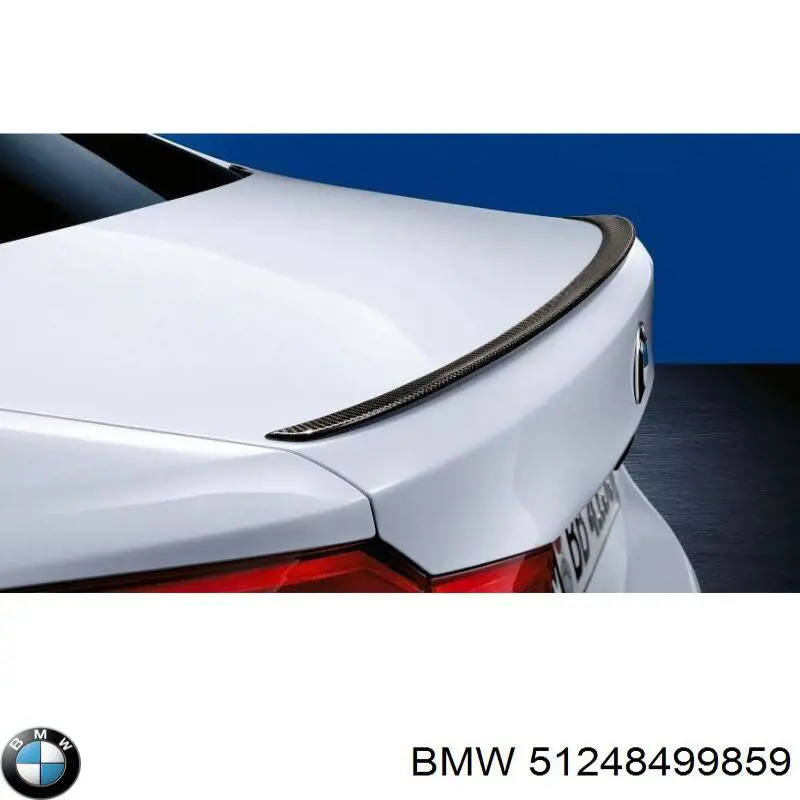 Spoiler de la puerta del maletero BMW 51248499859 precio, desde 270,07 EUR