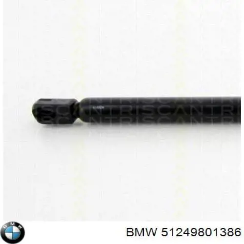 Comprar 51249801386 BMW Amortiguador de puerta trasera