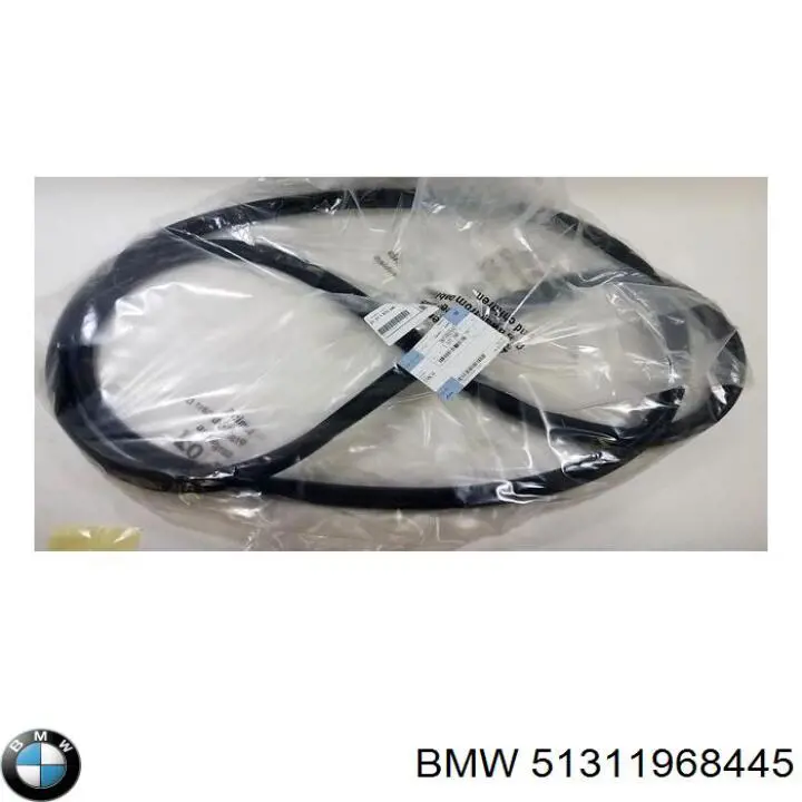 51311968445 BMW