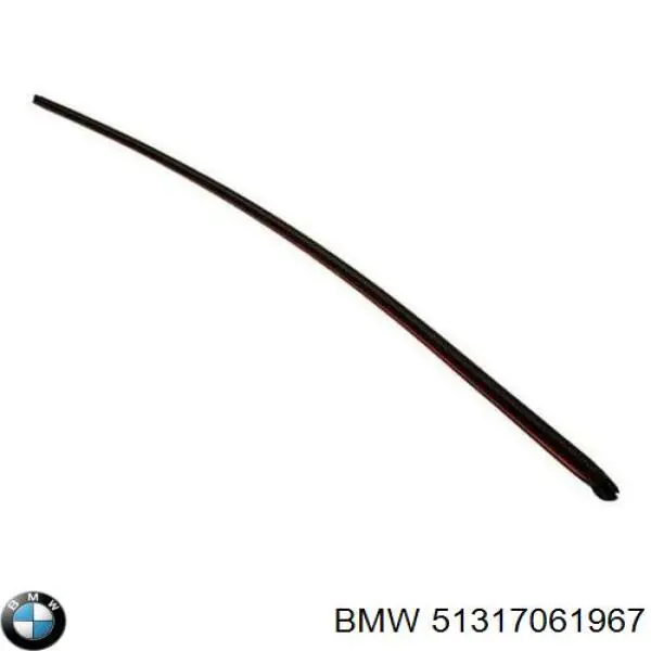 Moldura superior del parabrisas 51317061967 BMW