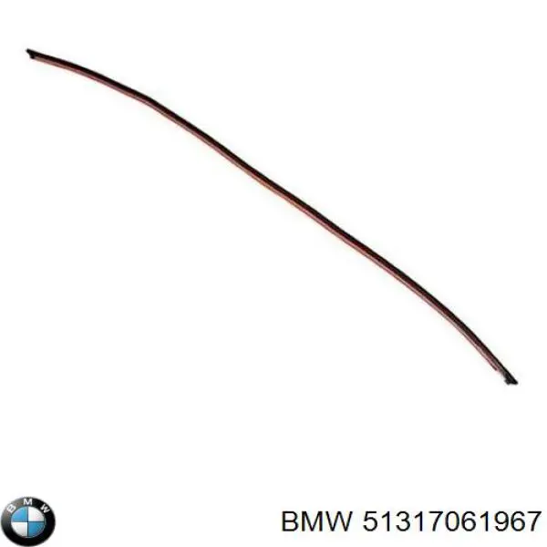 51317061967 BMW moldura de parabrisas superior