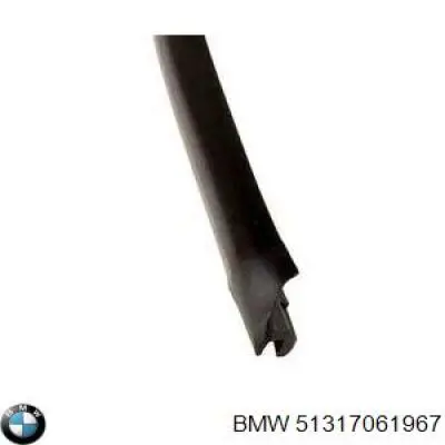 Comprar 51317061967 BMW Moldura superior del parabrisas
