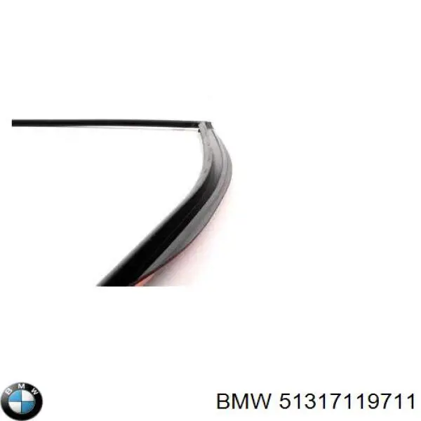 Moldura superior del parabrisas 51317119711 BMW