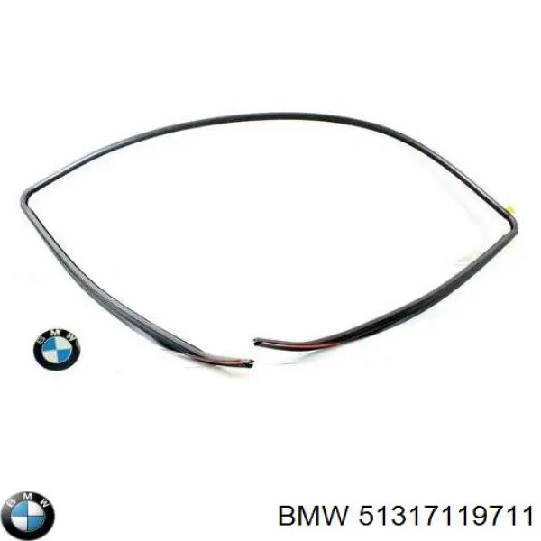 51317119711 BMW