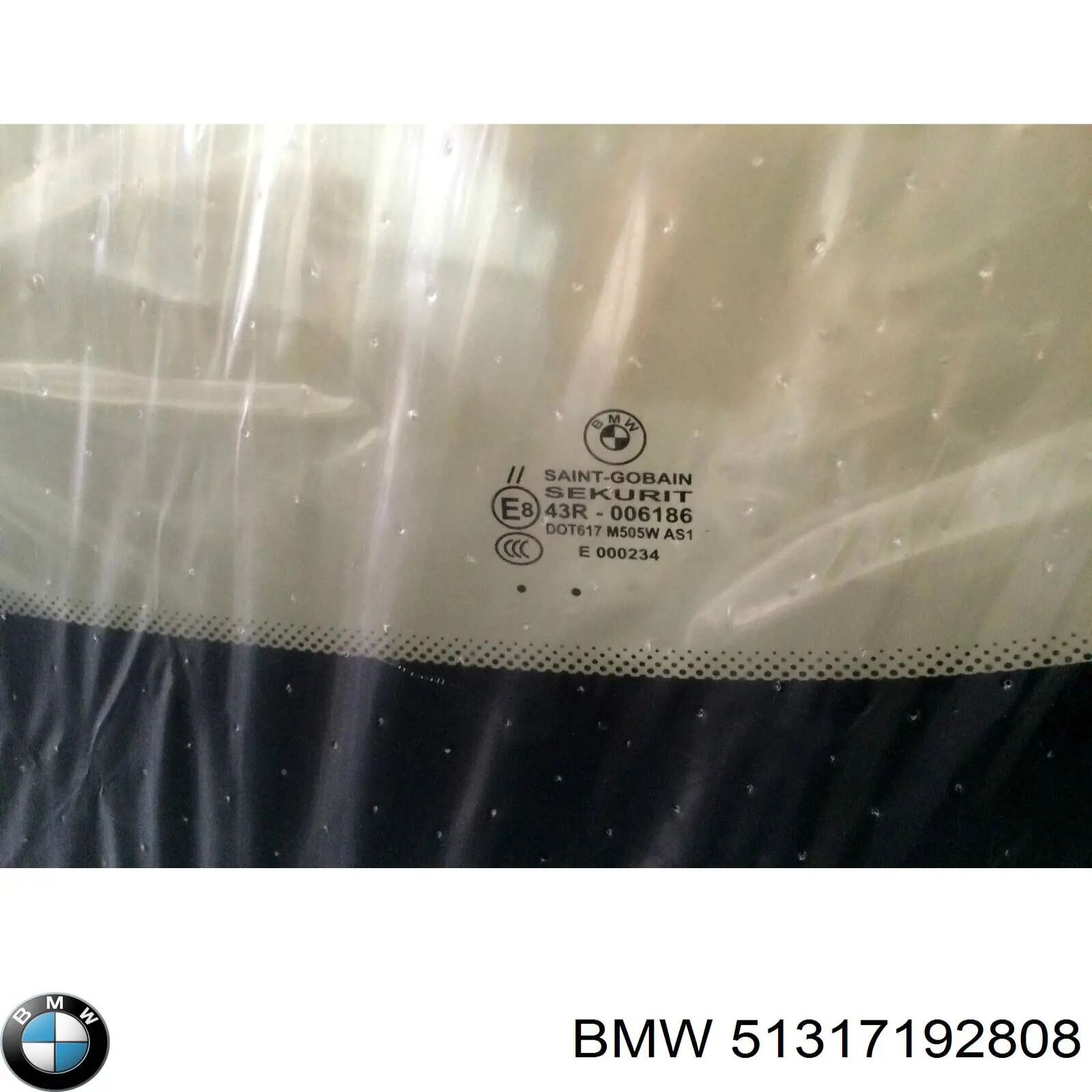 51317192808 BMW parabrisas