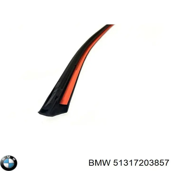 51317203857 BMW