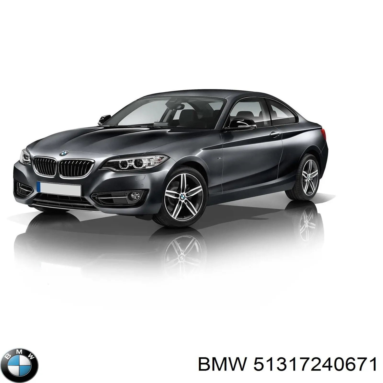 Moldura de parabrisas 51317240671 BMW