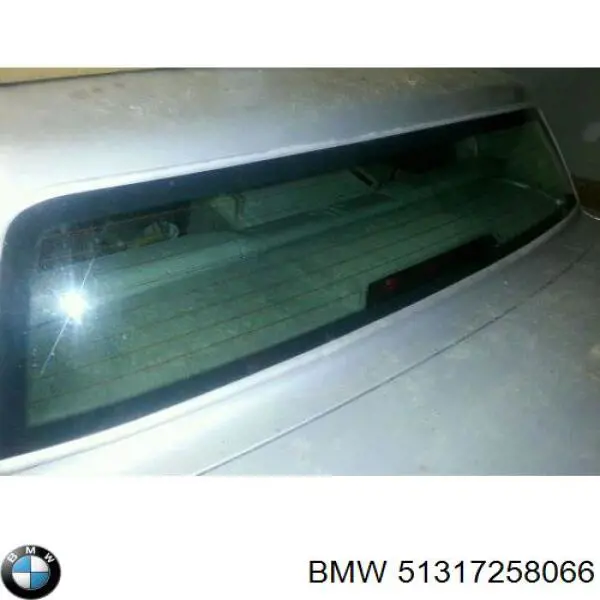 51317258066 BMW parabrisas