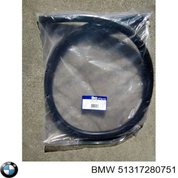 Comprar 51317280751 BMW Luna parabrisas