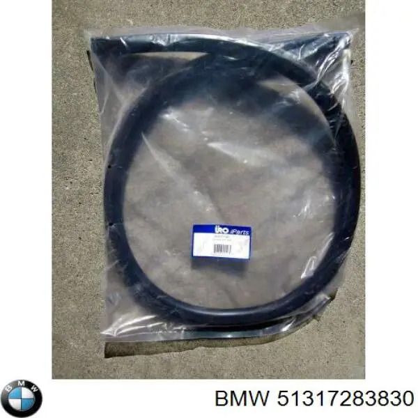 Comprar 51317283830 BMW Luna parabrisas
