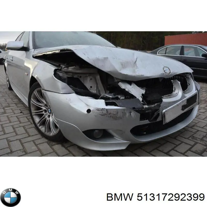 Comprar 51317292399 BMW Luna parabrisas