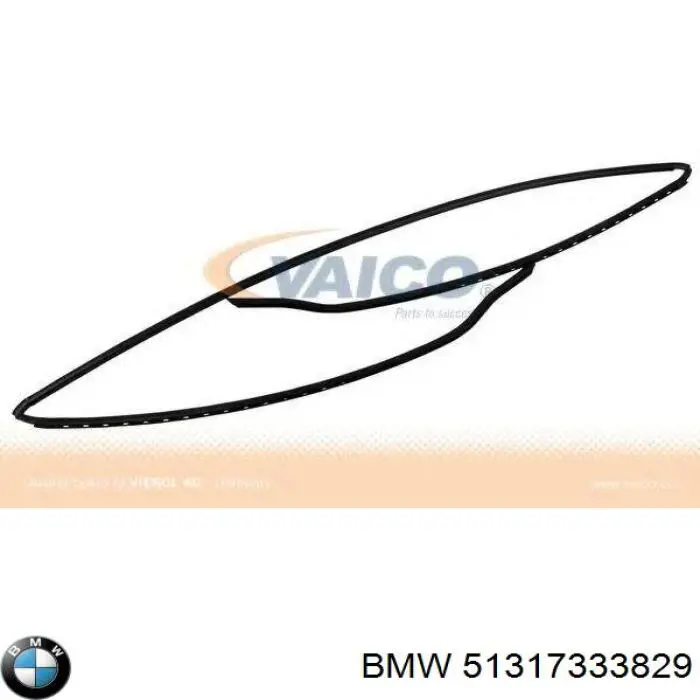 Parabrisas 51317333829 BMW