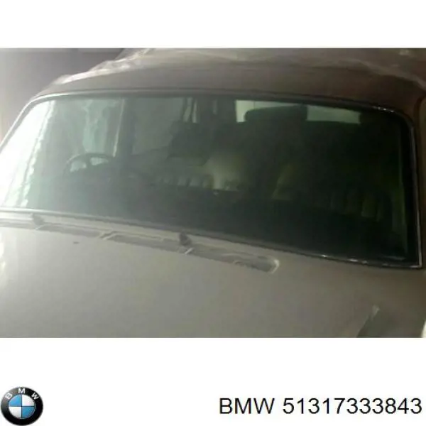 Comprar 51317333843 BMW Luna parabrisas